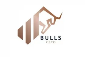 Bulls_Girisim__BULGS__tavanda_bekleyen_lot_says__B_1740126193